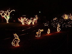 047 Toledo Zoo Light Show [2008 Dec 27]